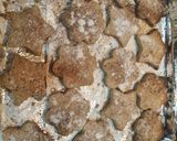 Foto del paso 8 de la receta: Mantecadas Navideñas de Almendra