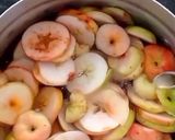 عکس مرحله 2 از دستور میوه خشک 🍏سیب 🍏