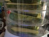 Zucchini rellenos