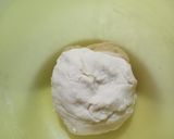 Foto langkah ke 2 dari resep Bakpao (No mixer).