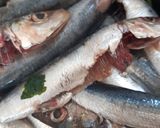 Foto del paso 2 de la receta: Sardinas al horno con verduras