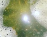 पालक सूप (Palak soup recipe in Hindi) रेसिपी चरण 3 फोटो