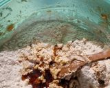 Körtés,csokoládés keksz (vegán) recept fázis 3 fotója