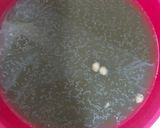 A picture of step 2 of Pani pury.