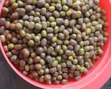 Foto del paso 1 de la receta: Porotos mung con quinoa tricolor