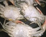 Foto langkah ke 2 dari resep Kepiting Asam Manis tanpa Amis.