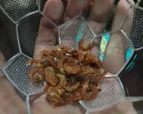 Foto langkah ke 2 dari resep Nasi Bakmoy Ayam.