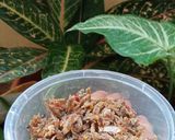Foto langkah ke 3 dari resep Sambel Teri.
