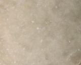 A picture of step 11 of Spring rolls.