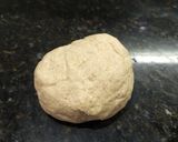 Foto del paso 1 de la receta: Pascualina con masa semi integral