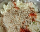 A picture of step 1 of Paneer Malai kofta.