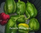 Foto del passaggio 2 della ricetta Conserve di pipi arrustuti dell' orto 🏡👩‍🍳❤️