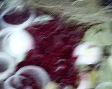 Foto del paso 4 de la receta: Curtido
