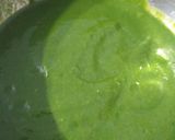 पालक पनीर (Palak Paneer Recipe In Hindi) रेसिपी चरण 3 फोटो