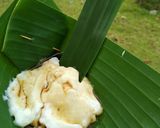Foto langkah ke 13 dari resep Bubur sum sum Santan - Susu.