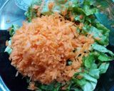 Foto del paso 2 de la receta: Cena rapidísima con zanahorias y lechuga
