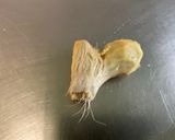 Une image de l'étape 1 de Mijoté de légumes aux épices, bouillon de gambas et gingembre.