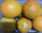 Foto del paso 1 de la receta: Mermelada de naranjas para Diabéticos