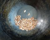 A picture of step 7 of Pumpkin & Potato Soup.