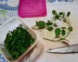 Foto del paso 5 de la receta: Salsa picante de hierbas frescas y ají de la mala palabra