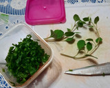 Foto del paso 5 de la receta: Salsa picante de hierbas frescas y ají de la mala palabra