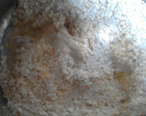 Foto del paso 3 de la receta: Alfajores de coco y avena