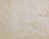Foto langkah ke 4 dari resep Cinnamon Roll.
