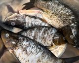 Foto langkah ke 1 dari resep Pesmol Ikan Mas.