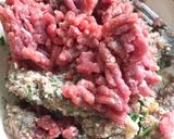 Foto del passaggio 2 della ricetta Polpette...o meglio Pulpitt!😋