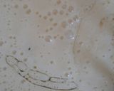 صورة لخطوة 3 من وصفة كيك التفاح (طورطة بالتفاح)