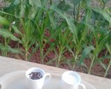 صورة لخطوة 2 من وصفة مشروب الكسترد الدافي