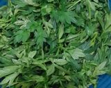 Foto langkah ke 2 dari resep Urap Daun Kenikir.