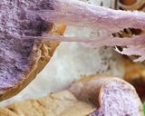 Foto langkah ke 14 dari resep Killer Toast Hokkaido Milk Taro (bubuk Ubi Ungu) Super SOFT.