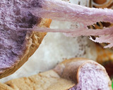 Foto langkah ke 14 dari resep Killer Toast Hokkaido Milk Taro (bubuk Ubi Ungu) Super SOFT.