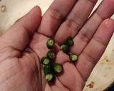 Saag Aloo recipe step 3 photo