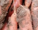 Une image de l'étape 3 de Riz légumes printanier.