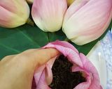 Hình bước làm 3 của món Chè Ướp Hoa Sen