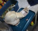 Foto del paso 6 de la receta: Lengua a la vinagreta