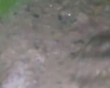 صورة لخطوة 2 من وصفة مملحة سهلة وبنينة امممم 😋