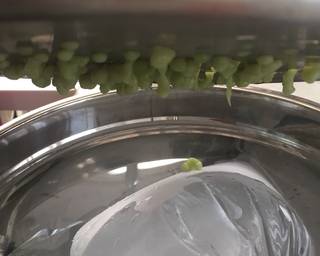 Es Dawet Cendol Soft - Step 3