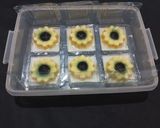 Foto langkah ke 5 dari resep Puding Mika Bunga Matahari.