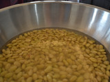 滷水黃豆（台灣省產黃豆食譜）