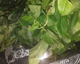 A picture of step 1 of Edikang ikong soup.