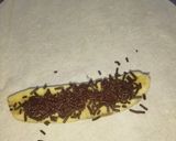 Foto langkah ke 1 dari resep Pisang Coklat Karamel.