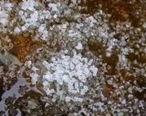 प्लम केक आसान तरीके से - क्रिसमस प्लम केक - एगलेस अल्कोहल फ्री प्लम केक रेसिपी चरण 3 फोटो