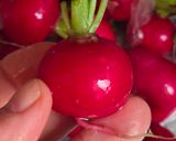 Foto del paso 4 de la receta: Untable de berenjena 🍆 para dipear con palitos de apio y rueditas de rabanitos