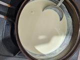 Puding Matcha