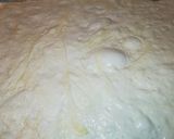 Foto del passaggio 12 della ricetta Impasto pizza, poolish 18h + autolisi 6h. Idratazione 80%