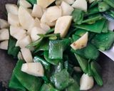 A picture of step 2 of Saemi fry.