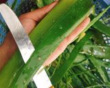 Hình bước làm 2 của món Cách Làm Sạch Nha Đam😍👍